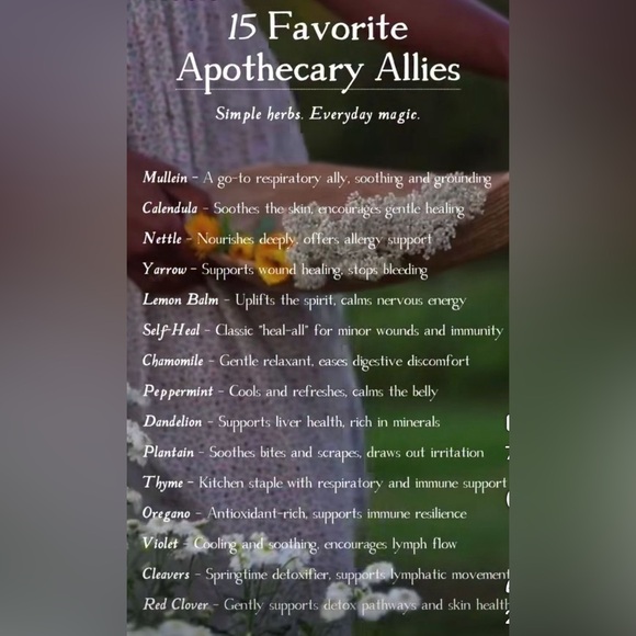 $2 PIN/BROOCH. ENAMEL/METAL. NEW. $2 WITH ANY $10 ORDER OR MORE - Picture 10 of 16